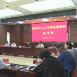 驻茶市人大代表调研经开区电子信息产业园建设情况