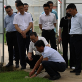 聂方红来茶调研