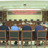 茶陵县调度重点项目开（竣）工、国有资产资源盘活处置、洮水水库经营权回购立项工作