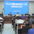 茶陵县召开中元节期间森林防灭火工作电视电话会议