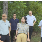 市人大常委会副主任欧阳瑞丰来茶调研