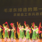 茶陵县老年大学举行第十一个老年节文艺汇演