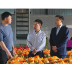 茶陵：为实体经济发展注入金融“活水”