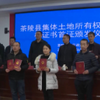 茶陵县颁发首批集体土地所有权不动产权证书