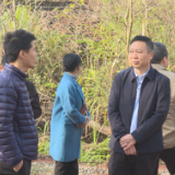 茶陵县开展2023年人大代表票决民生实事事项督办活动