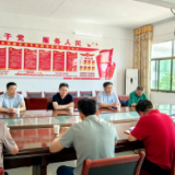 唐杰督查耕地“非农化”“非粮化”专项整治和驻场麻雀解剖式检查组工作