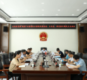 茶陵县政府党组召开“镜鉴”以案明纪以案促改肃流毒、正生态、促发展专题民主生活会