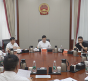 杨红兵调度茶陵县重点CD级经营性自建房工程措施整改工作