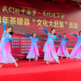2024年茶陵县“文化大赶集”走进火田镇五门村