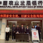 中国农业发展银行茶陵支行开展全民国家安全教育日活动