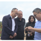 向佐谊一行来茶调研油茶产业发展
