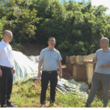 茶陵县自然资源局：做好雨后地质灾害排查 守护百姓平安