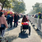 界首镇：开展交通劝导 规范交通秩序