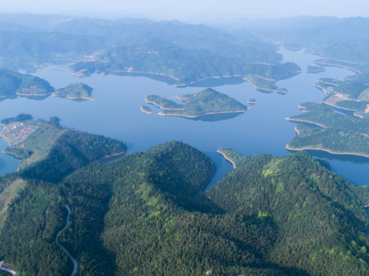 茶陵县桃坑乡：“三个一心”助推“移居”到“宜居”，绘就乡村振兴新画卷