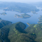 茶陵县桃坑乡:“三个一心”助推“移居”到“宜居”,绘就乡村振兴新画卷