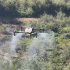 严塘镇:无人机高效“飞防” 助力油茶冬季管护