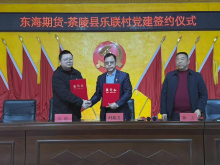 党建引领促振兴 茶陵下东街道携手东海期货绘新篇