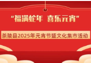 看表演、品民俗、猜灯谜……邀您共赴茶陵县这场元宵活动