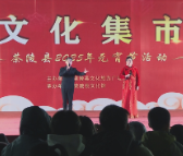 茶陵县举办2025年元宵文化集市暨民俗非遗活动