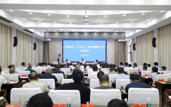 茶陵县召开“十五五”规划编制工作推进会