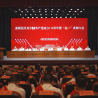 茶陵县庆祝中国共产党成立104周年暨“七一”表彰大会举行