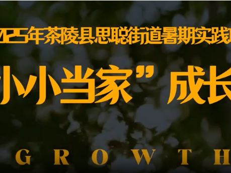 “小小当家”成长记：记录一段夏天的旅程   