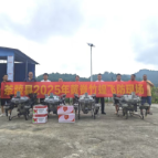 茶陵打响2025年黄脊竹蝗“歼灭战”