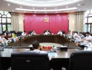 杨红兵主持召开中共茶陵县委常委会2025年第11次会议