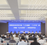 茶陵县2025年打造“三个高地”“三个年”和实施“七大攻坚”二季度讲评会召开