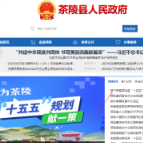 集民智促发展！茶陵县“十五五” 规划公开征集意见