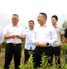 朱毅强到秩堂镇调研