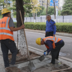 【新时代新城管】停车无忧，畅玩茶陵！县城管局多举措保障国庆安心逛