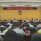 茶陵县第十八届人民代表大会常务委员会第三十一次会议召开
