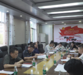 茶陵县“十五五” 低空经济发展调研座谈会召开