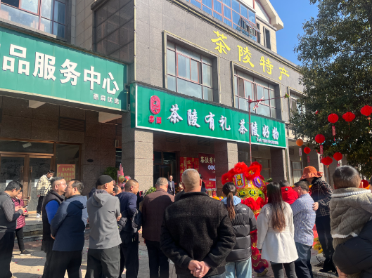 “茶陵有礼•茶陵好物”一站式呈现湘东地道风物