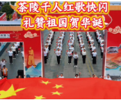 10月1日，在茶祖大道，《我和我的祖国》《祝福祖国》的旋律燃动茶陵。一场热血快闪，唱出了茶陵人民对祖国炽热的爱和滚烫的祝福！