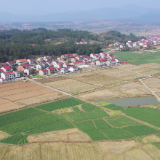 省两会精神润田垄 赤松茸香富农家