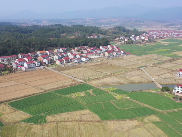 省两会精神润田垄 赤松茸香富农家