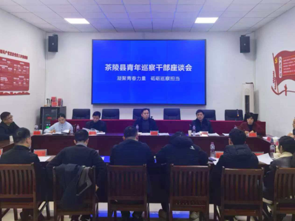 “凝聚青春力量·砥砺巡察担当”青年巡察干部座谈会召开