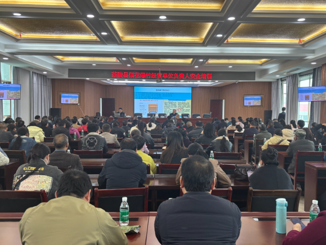 茶陵县开展烟花爆竹零售经营户负责人安全培训