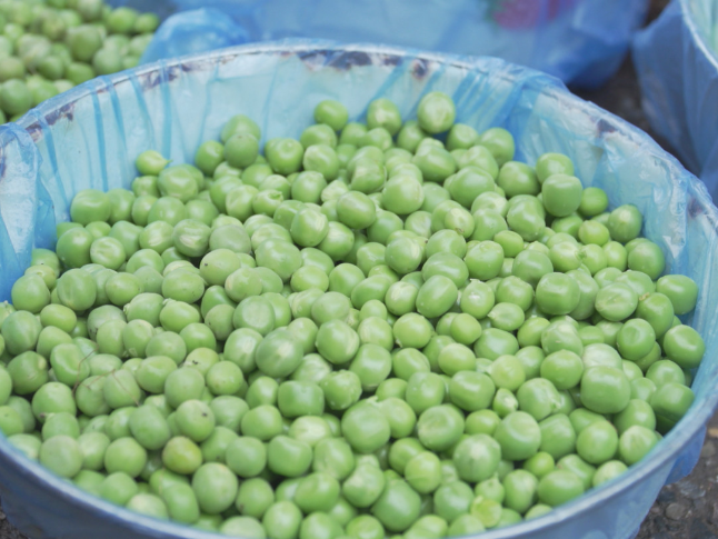 春菜抢“鲜”上市！鲜味正当“食”