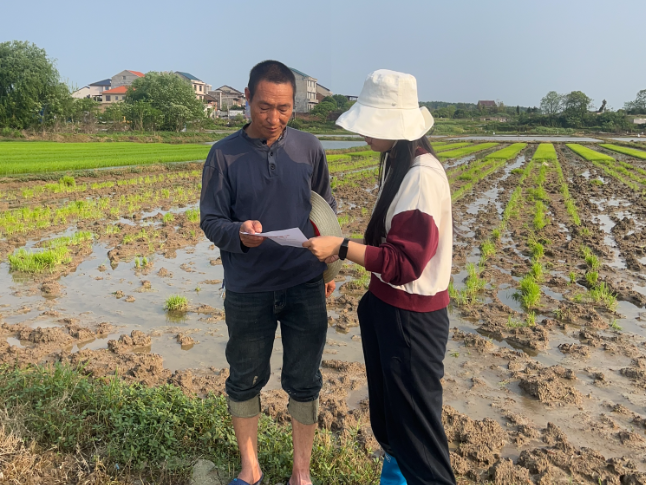 暴雨过后抢农时 气象服务到田间