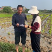 暴雨过后抢农时 气象服务到田间