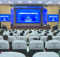 茶陵县开展小学道德与法治教师能力提升培训