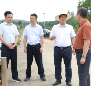 杨红兵调研群众身边不正之风和腐败问题集中整治工作