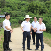 杨红兵到严塘镇督导调研