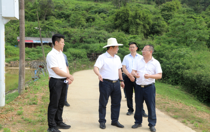 杨红兵到严塘镇督导调研