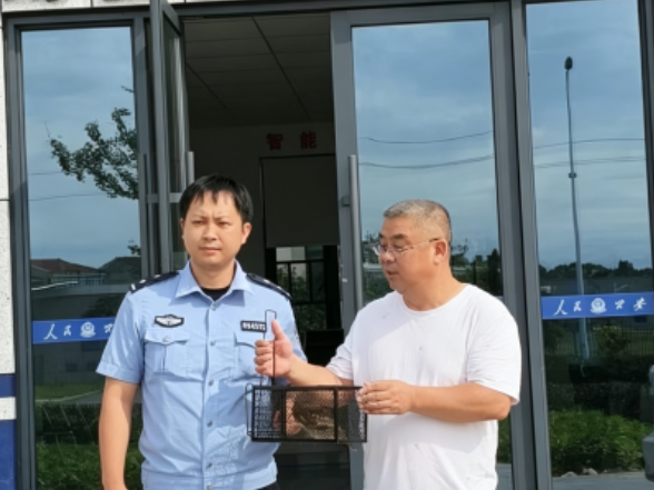 警林联动护生灵！茶陵成功救助国家二级保护动物斑头鸺鹠