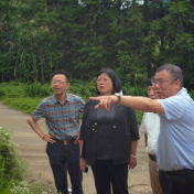 市文联来茶开展炎帝神农文化专题采风活动