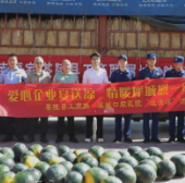 茶陵:清凉物资送一线 浓浓关怀沁人心